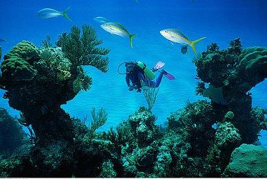 ATLUS新作《暗喻幻想：ReFantazio》介绍支持主角的支援者“支持者”们